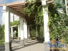 大虹桥板块 楼梯中间楼层 近地铁 看房随时 诚意出售