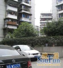 树蓓街42号3室2厅东南