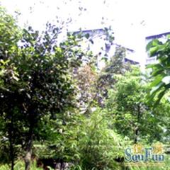 川大竹林村3室1厅南