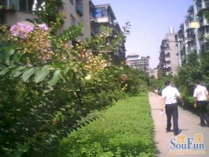 润新花园一期1室1厅东南
