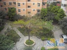 成龙花园 5室1厅 东 东南