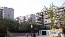 龙爪小区2号院2室1厅南北