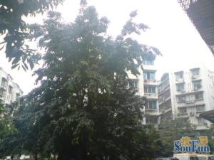 【草堂北支路2号院】| 成都市青羊区草堂北支路217号6楼房屋