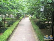 大龙山轻轨旁电梯大三房配套成熟生活方便