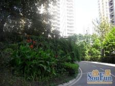 融侨公园旁品质小区,户型方正,业主诚心出售