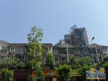 南坪会展旁大三房双卫 看江视野开阔