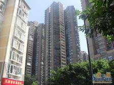 南坪骑龙山庄 洋房大4房 3厅3卫6大飘窗 朝中庭安静