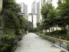 9号线出口站旁电梯房,顶跃,带屋顶花园,采光通透