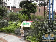 小龙坎9号线地铁 中间楼层 采光好