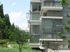 丰景湾名邸 3室1厅 南