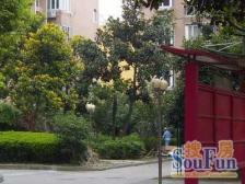 蓝天苑 2室1厅 南