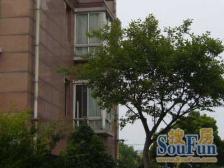 蓝天苑 2室1厅 南