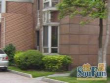 中间楼层,采光充足,近商场,近地铁,