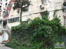 楼层低,精装修双南户型,近地铁,龙之梦商圈