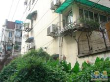 广中一村 2室1厅 南 北