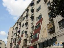 广中一村 1室1厅 南