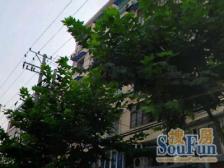 交通便捷 配套齐全 全明户型 满五业主诚意出售