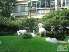 送阁楼双露台,实用面积200多平,喜欢住的舒适的看过来