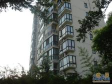 内环边|总高11层电梯高区南北通|3/8号双轨交仅一套