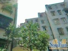 位置好,双南户型优质,精装修,空置看房随时。