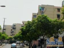 静安地铁1号线800米、满五、一梯两户,双南全明户型