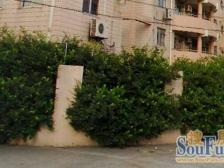 彭浦·曲沃路35弄·1室·1厅