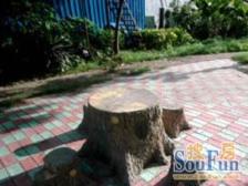 一梯两户南北通层高2.9米美丽家园停车方便