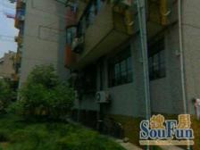 长风板块潜力股长风公园旁大户型