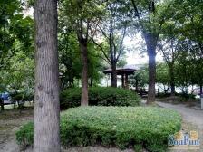 中虹花园丽都苑3室南朝向1099.00万元/套出售