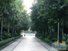 天星桥 华宇福源山庄四房185万