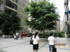 兴宇金粼苑 2室1厅 南