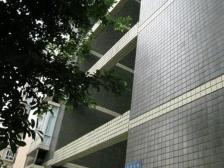 天星桥 兴宇金麟苑二房60万