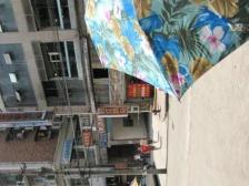 联合花园 3室1厅 东 东南 南 西南 西 西北 北 东北