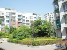 5/6号线大龙山轻轨站旁 电梯洋房一梯两户 主家安静