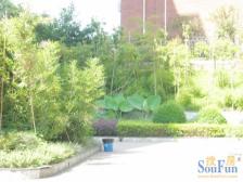 冉家坝 竹韵山庄四房135万