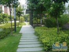 溯源居花园洋房 中间楼层 板式结构 拎包入住诚心卖