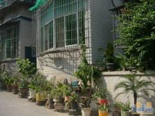 鱼洞 花土湾社区二房30万