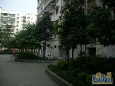 鱼洞 黄溪口三房57万