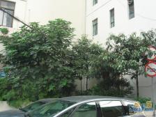 满五年,楼层佳,采光好,诚意出售,方便看