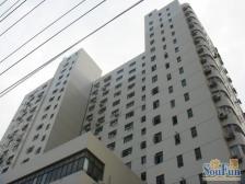 南看黄浦江,北看三件套