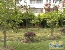 徐家汇·历史保护性建筑,双南两房,交通方便,中区采光无遮挡