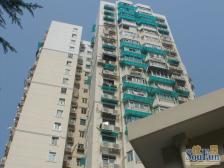 一师老居委,朝南一室户,边套全明,全天采光。