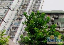 内环轨交低总价全明一房 视野好采光好,双书包一梯队