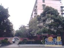 港机新村 1室1厅 南 北