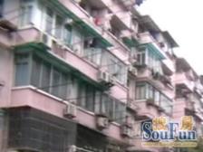 港机新村 1室1厅 南 北