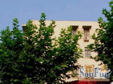 低总价两房 采光无遮挡 近地铁6 7 19 号线