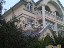 全新装修,中央空调地暖,买下来直接拎包入住