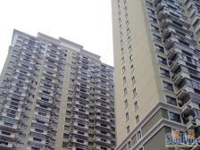 雅庐苑 2室2厅 南 北