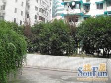 近地铁 无抵押 电梯房,新上房源