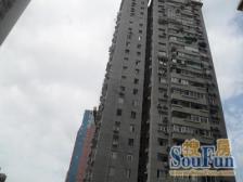 视野开阔,明亮户型,楼层好,通透户型